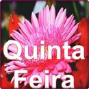 Quinta Feira aplikacja