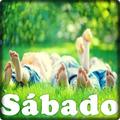 Feliz Sábado