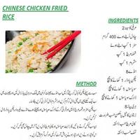 New Chinese Rice Urdu Recipes Plakat