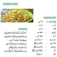 New Chinese Rice Urdu Recipes Screenshot 1