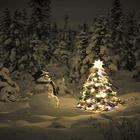 Christmas Best Live Wallpaper 图标