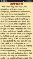 Simple Bible syot layar 3