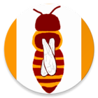 Beemaster EN icône
