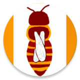 Beemaster EN biểu tượng