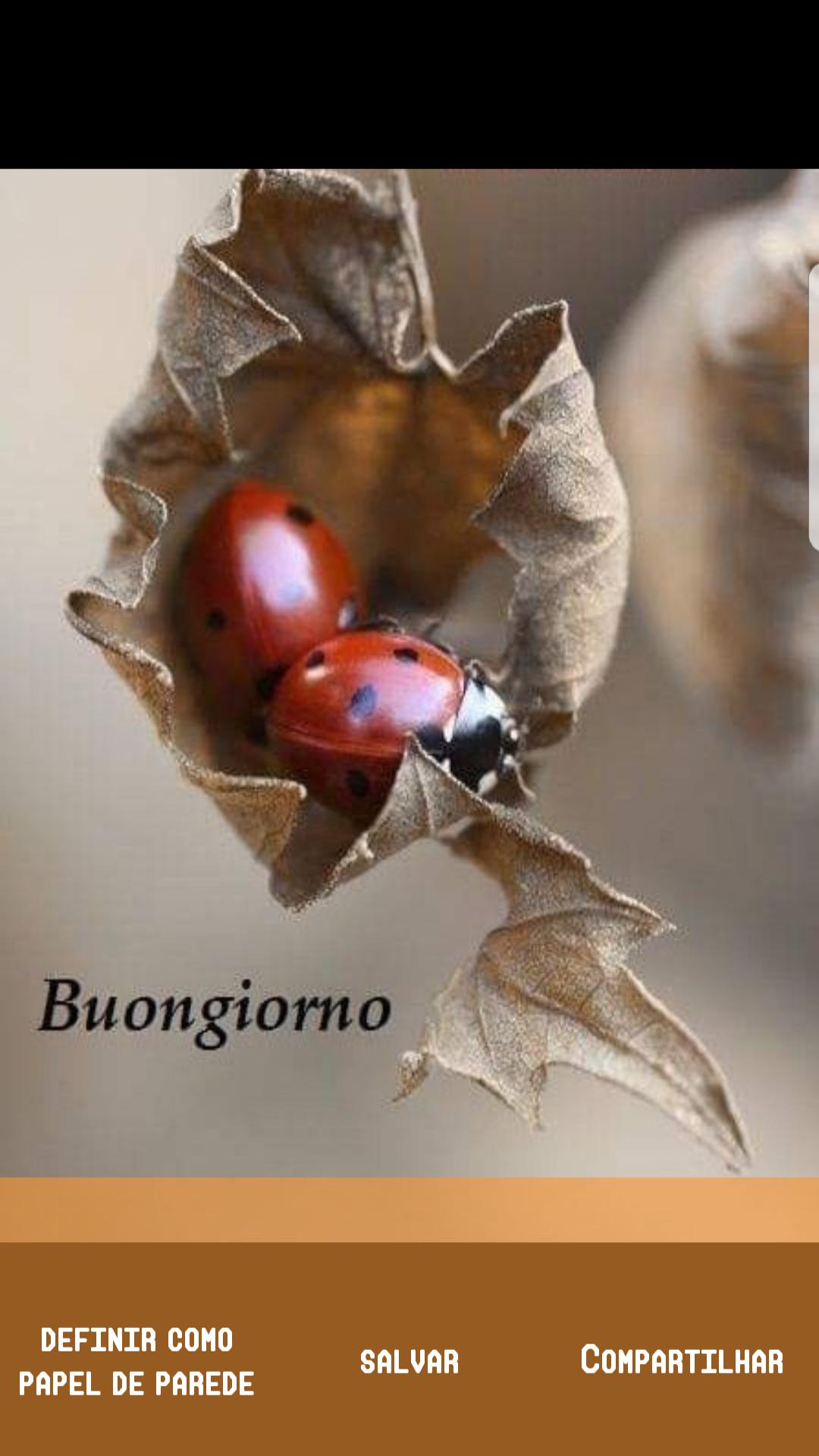 Buon lunedi картинки