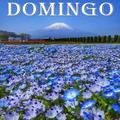 Domingo