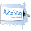 ”Instant Beauty Window Cleaners