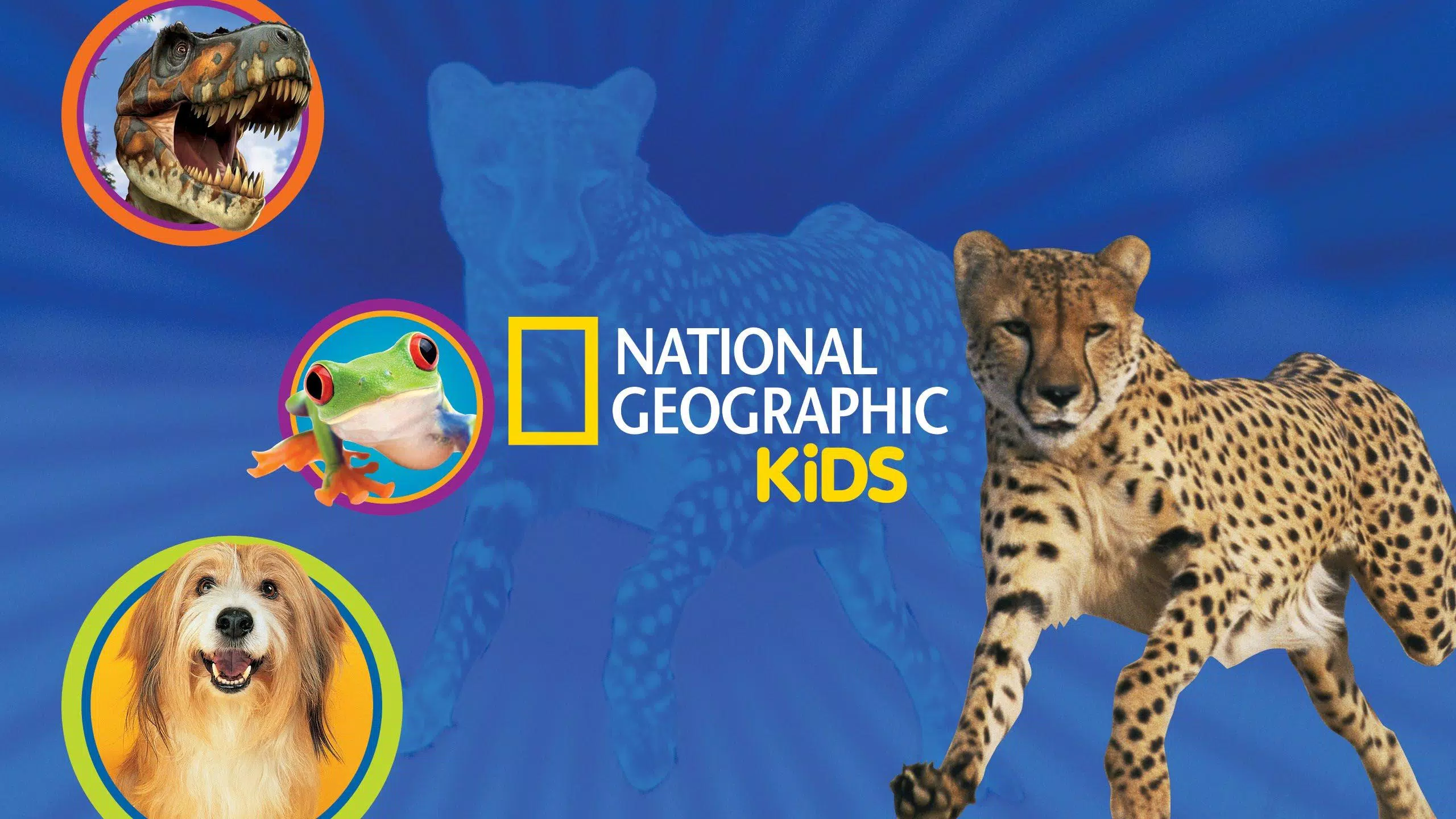 Historias y documentales de National Geographi for Android - APK Download