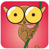 Nits cinema oriental 2014