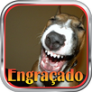 Imagens Engraçadas APK