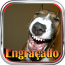 Imagens Engraçadas APK