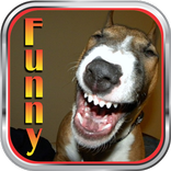 ”Funny