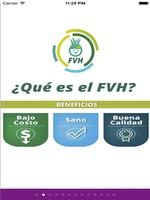 1 Schermata ProduccionFVH