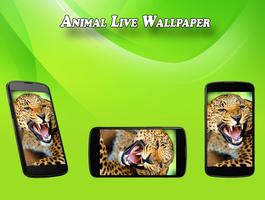 Animal Live Wallpaper Affiche