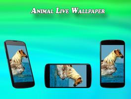Animal Live Wallpaper screenshot 2
