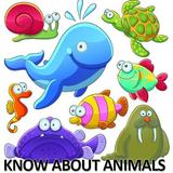 Icona Animals Learning for Kids