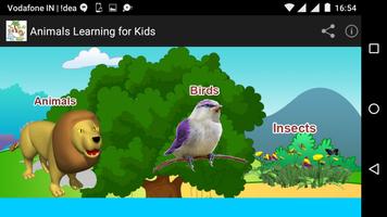 Poster Animals Learning for Kids