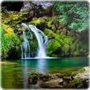 Wallpaper hd quality APK