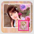 Baby Dog Wallpaper