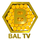Bal TV иконка