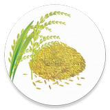 ePACS Bihar Grains أيقونة