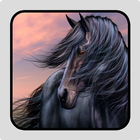 Black Horse Wallpaper ikona