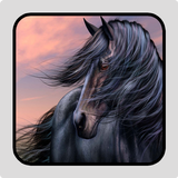 Black Horse Wallpaper आइकन