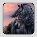 Black Horse Wallpaper APK