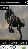 Black Horse Wallpaper स्क्रीनशॉट 1