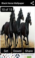 Black Horse Wallpaper ảnh chụp màn hình 2