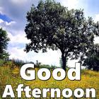 Good Afternoon-icoon