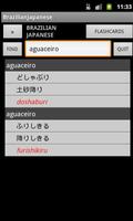 Brazilian Japanese Dictionary 海报