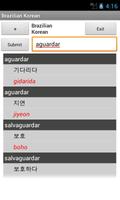 Brazilian Korean Dictionary ポスター