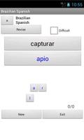 Brazilian Spanish Dictionary скриншот 2