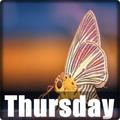 Thursday