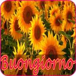 Buongiorno