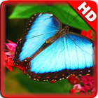 Wallpaper butterfly icon