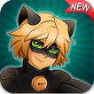 Miraculous Cat Noir Adventures 2
