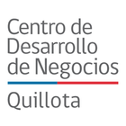CDN Quillota icône