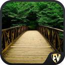 Live wallpapers xd APK
