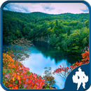 3d wallpaper on your phone APK