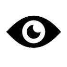 Icona Procurement Eye