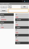 English Punjabi Dictionary پوسٹر