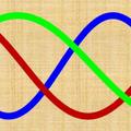 BioRhythm