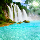 Download free wallpaper for your phone APK