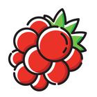 FoodBerry icono