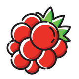 FoodBerry icon