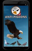 Anti Pigeons PRO Affiche