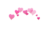 Photo Booth Heart Effect / Flower Crown - Crownify أيقونة