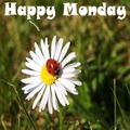 Happy Monday